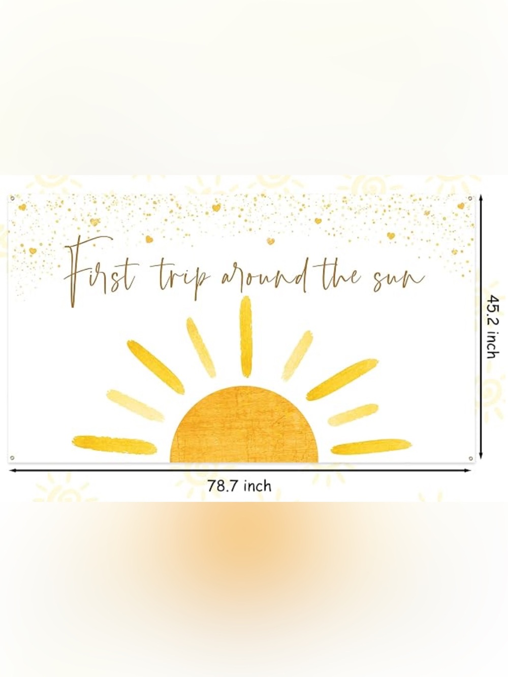 First Trip Around the Sun Banner